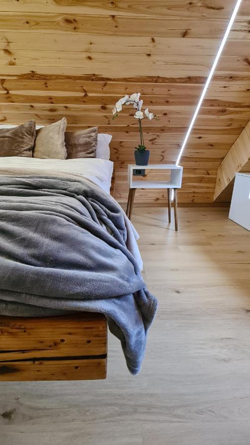Casa Chiper - Attic Apartment With View Braşov Extérieur photo
