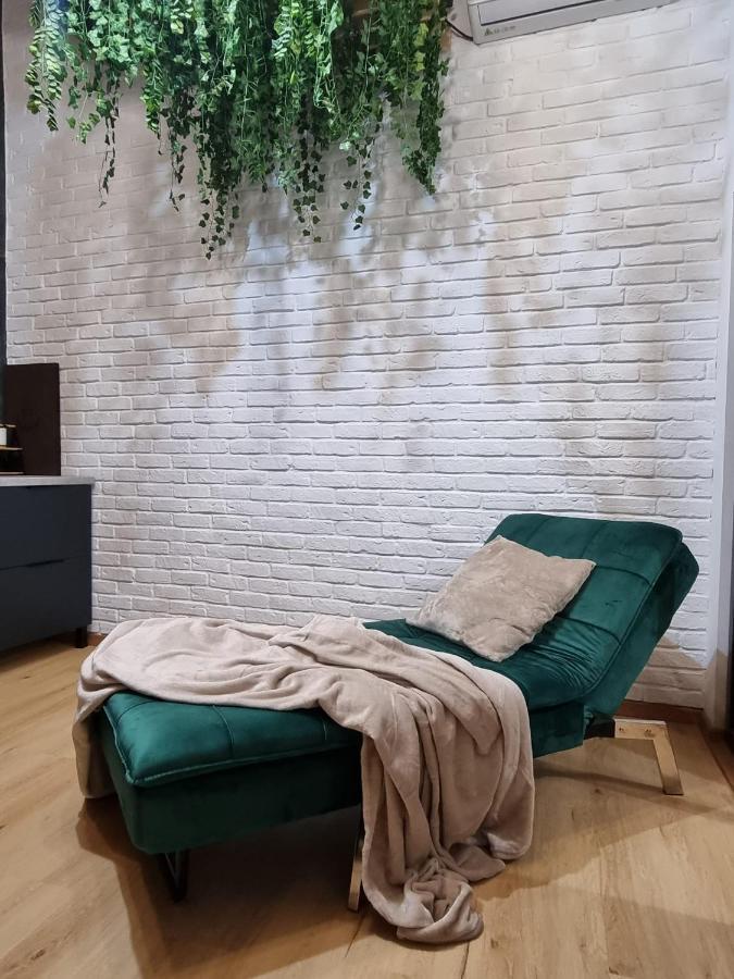 Casa Chiper - Attic Apartment With View Braşov Extérieur photo